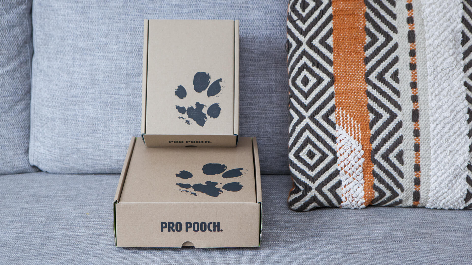 Pro Pooch Packaging Designs 12